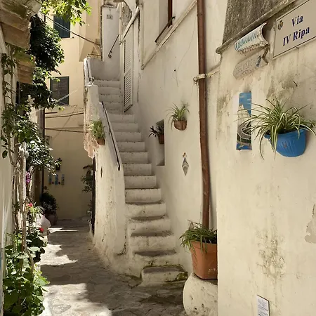 Glicine Sperlongaresort Sperlonga