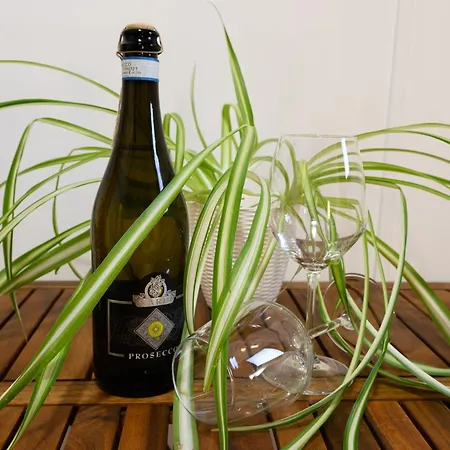 Glicine Sperlongaresort Guest house